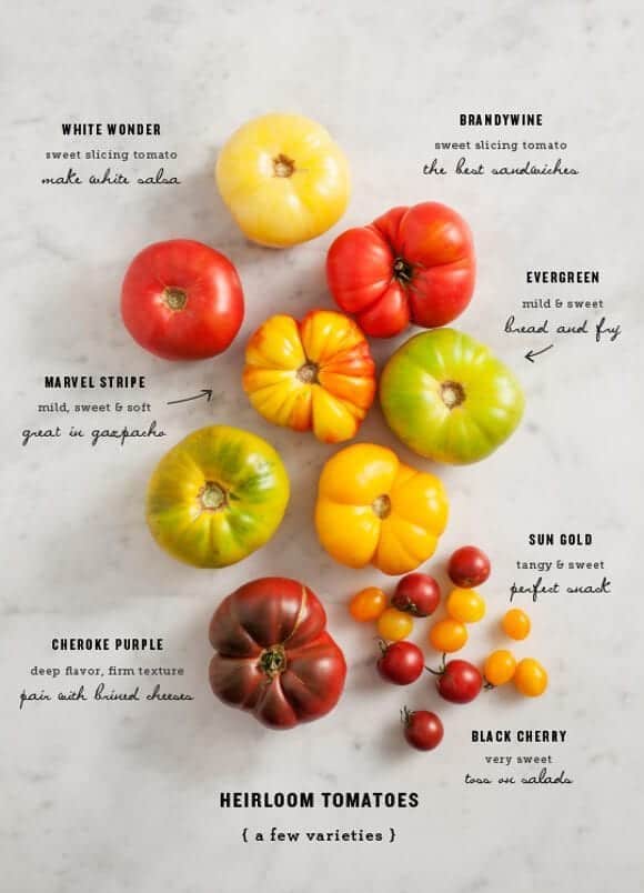 Heirloom Tomato Varieties Chart