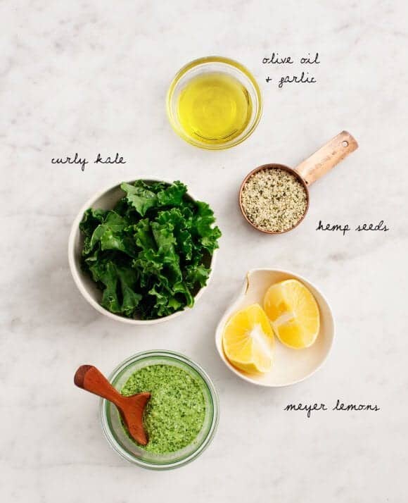 Hemp Seed & Kale Pesto Recipe Love and Lemons