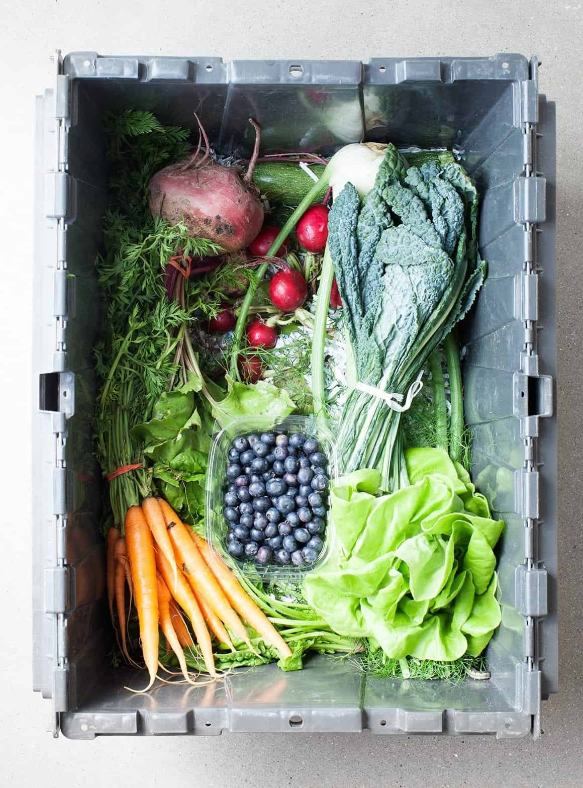 CSA Box Strategies + a Farmhouse Salad